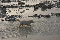 Cjp_2010_04_14_173715 (2).jpg